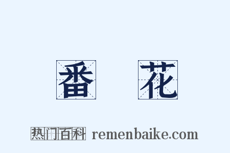 番紅花是什么意思的图片